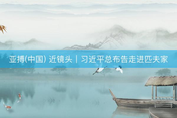 亚搏(中国) 近镜头｜习近平总布告走进匹夫家