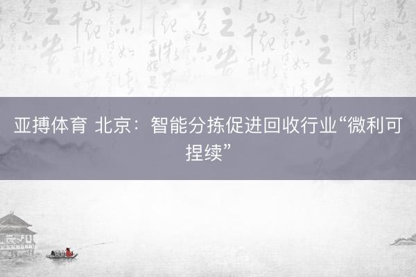 亚搏体育 北京：智能分拣促进回收行业“微利可捏续”