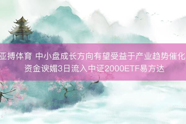 亚搏体育 中小盘成长方向有望受益于产业趋势催化， 资金谀媚3日流入中证2000ETF易方达