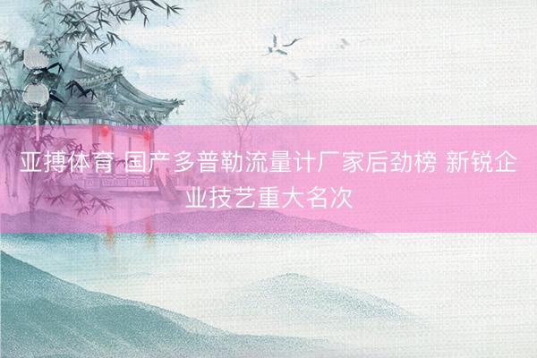 亚搏体育 国产多普勒流量计厂家后劲榜 新锐企业技艺重大名次