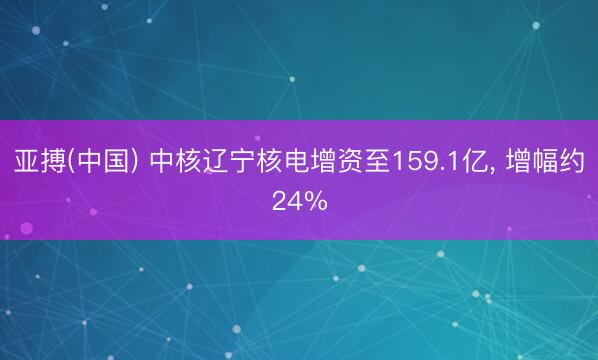 亚搏(中国) 中核辽宁核电增资至159.