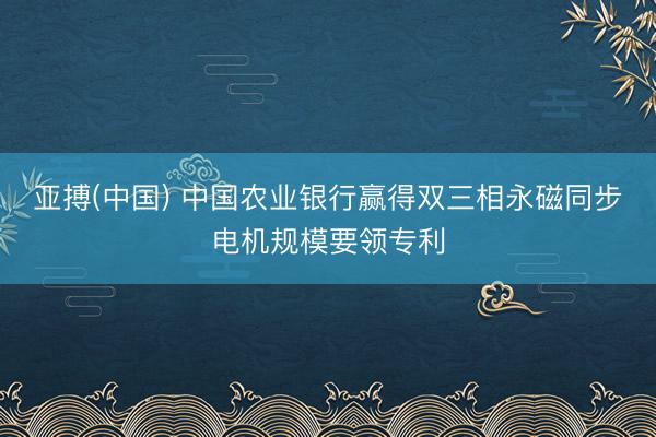 亚搏(中国) 中国农业银行赢得双三相永磁同步电机规模要领专利