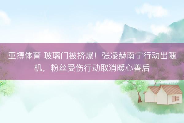 亚搏体育 玻璃门被挤爆！张凌赫南宁行动出随机，粉丝受伤行动取消暖心善后